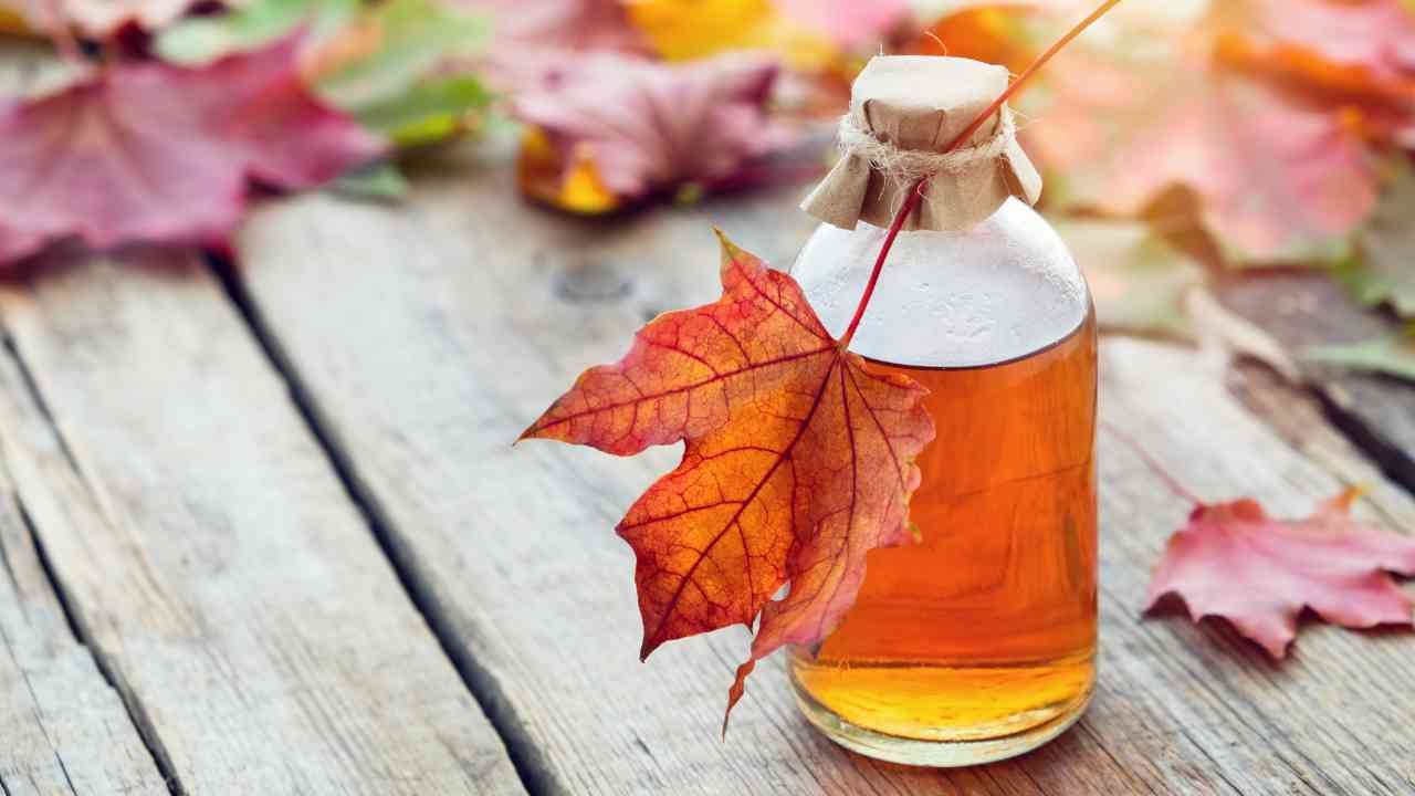 🍁 The Sweet Story of Maple Syrup – Everything You Need to Know